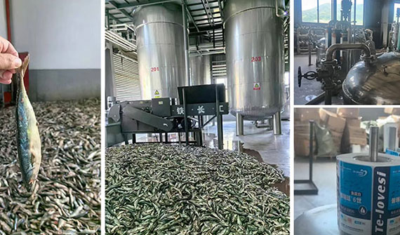 經銷商必備，100%純魚蛋白肥燃炸市場！緩僵苗弱苗、改良土壤、抗寒抗旱抗逆全搞定！